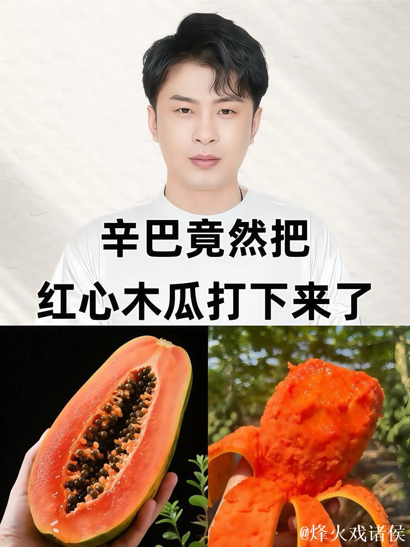 揭秘抖音网红瓜：背后的惊人福利真相